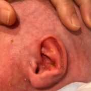 Ekran Alıntısı_14