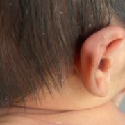 Ekran Alıntısı_16